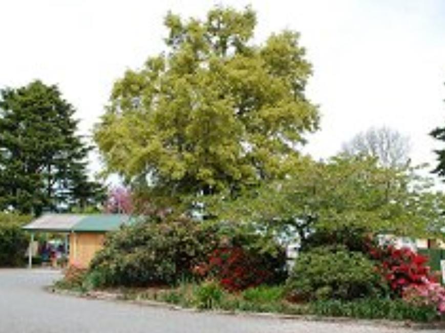 Coronation Park Motels Ashburton Dış mekan fotoğraf